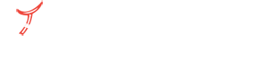 Terafastnet Logo